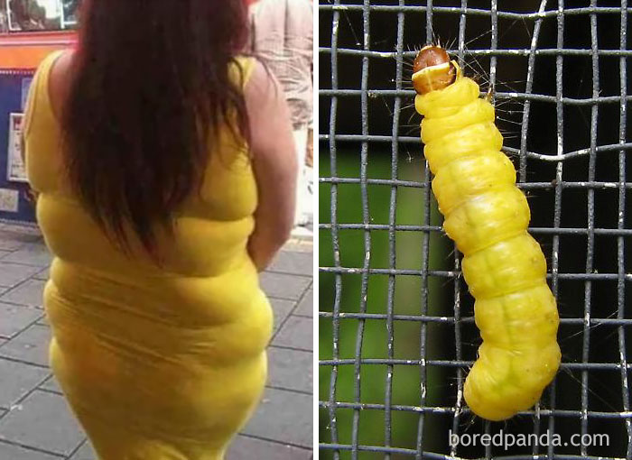 This Lady Or A Caterpillar?