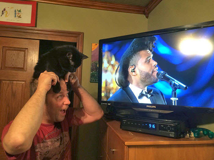 The Weeknd Guy Or This Cat-Man?