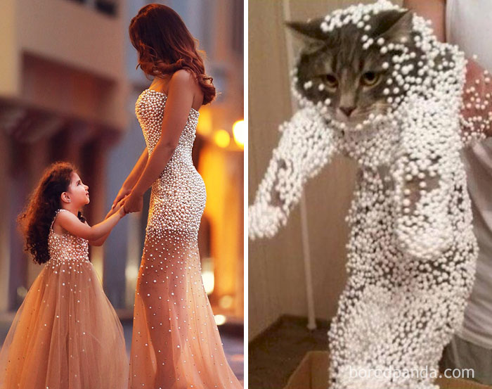 Mom And Daughter In Their Fancy Dresses Or This Cat?