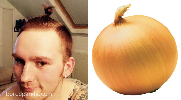 This Guy Or An Onion?