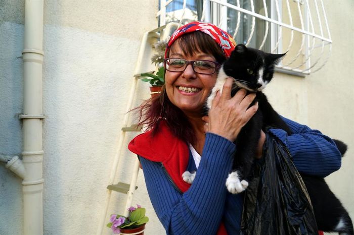 This Woman Built A "Cat Ladder" For Strays So They Could Come In When It's Cold Outside