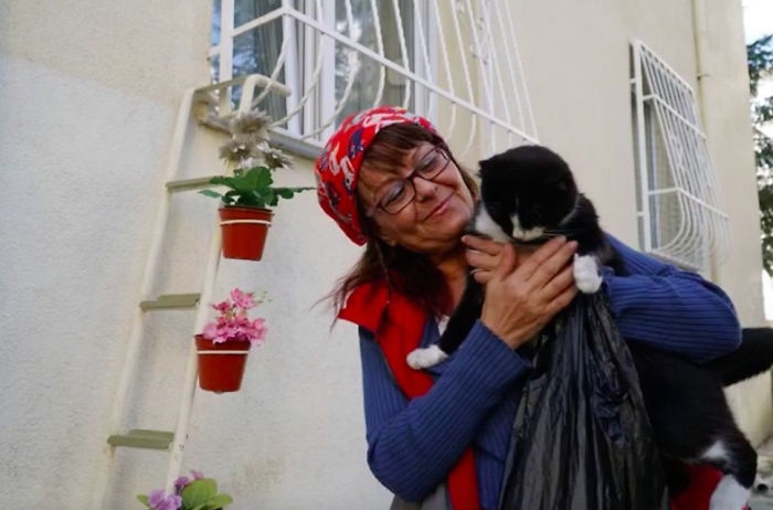 Esta mujer construyó una escalerilla para que los gatos callejeros pudieran entrar a su casa cuando hace frío