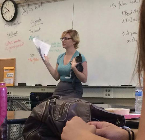Teacher Finds Abandoned Kittens Near School - This Is How She Teaches Her Class