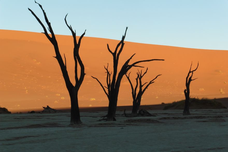 My Pictures From The Namib Desert Look Like They Were Taken On Another Planet!