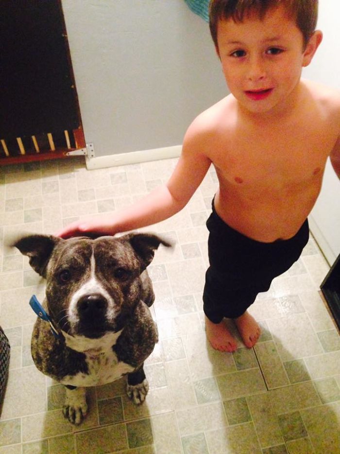 My Son And Our Vicious Pittie/mastiff Mix, Mcgwire. Also Known As Batdog For His Tendency To Flap His Ears. Sadly He Was Stolen Right Out Of Our Backyard