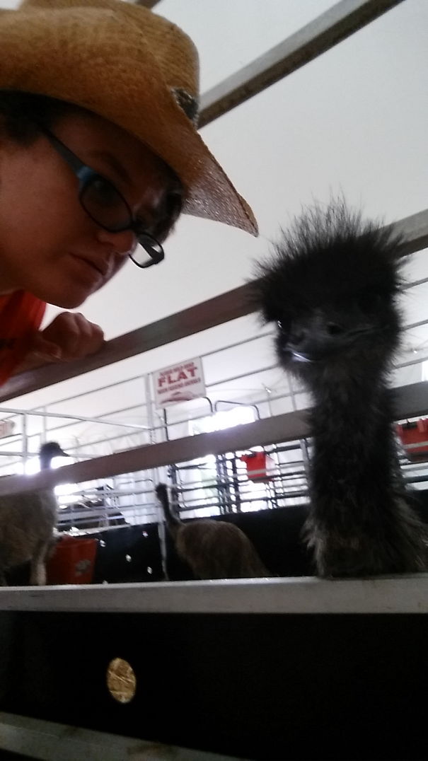 My First Time Working With And Seeing Emus. I Was Terrified To Get Close At First.