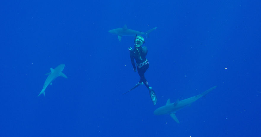 I Filmed For My Documentary "She Is The Ocean" Amazing Story Of "Shark Whisperer" Ocean Ramsey - Woman Who Swim With The Sharks Around The World And Helping To Save Them.