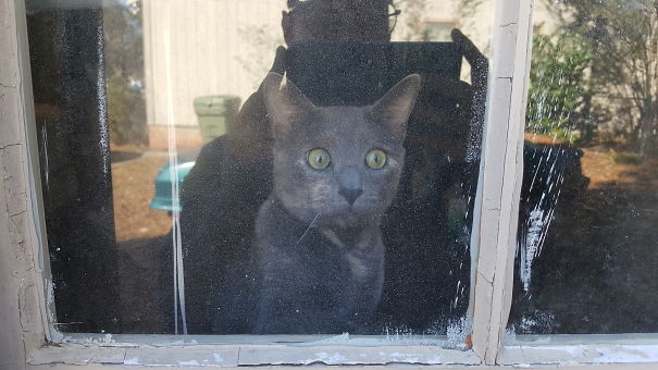 First Time Seeing Me On The Outside Of The Window.