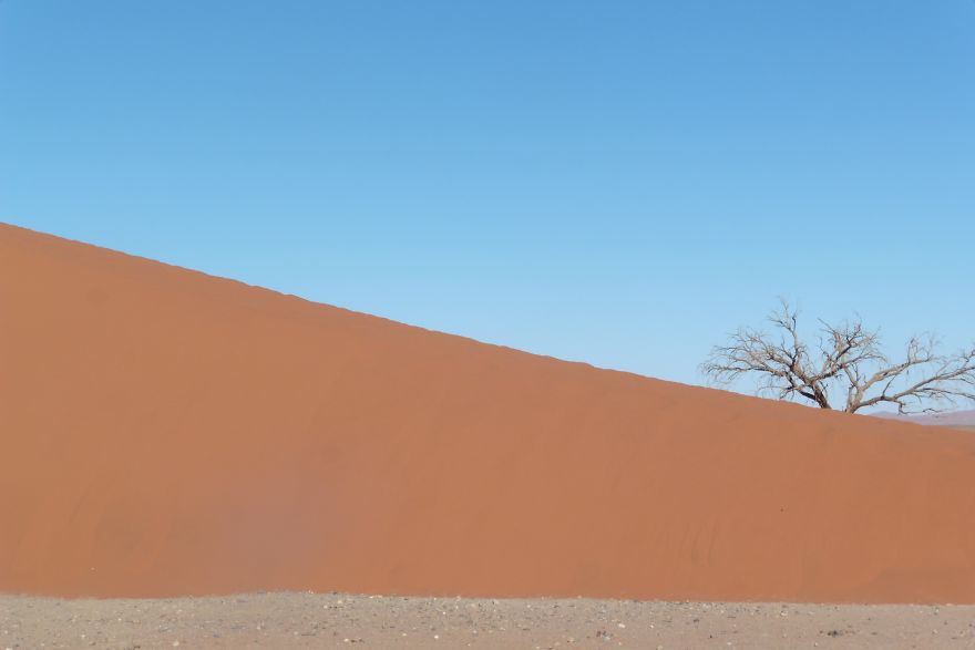 My Pictures From The Namib Desert Look Like They Were Taken On Another Planet!