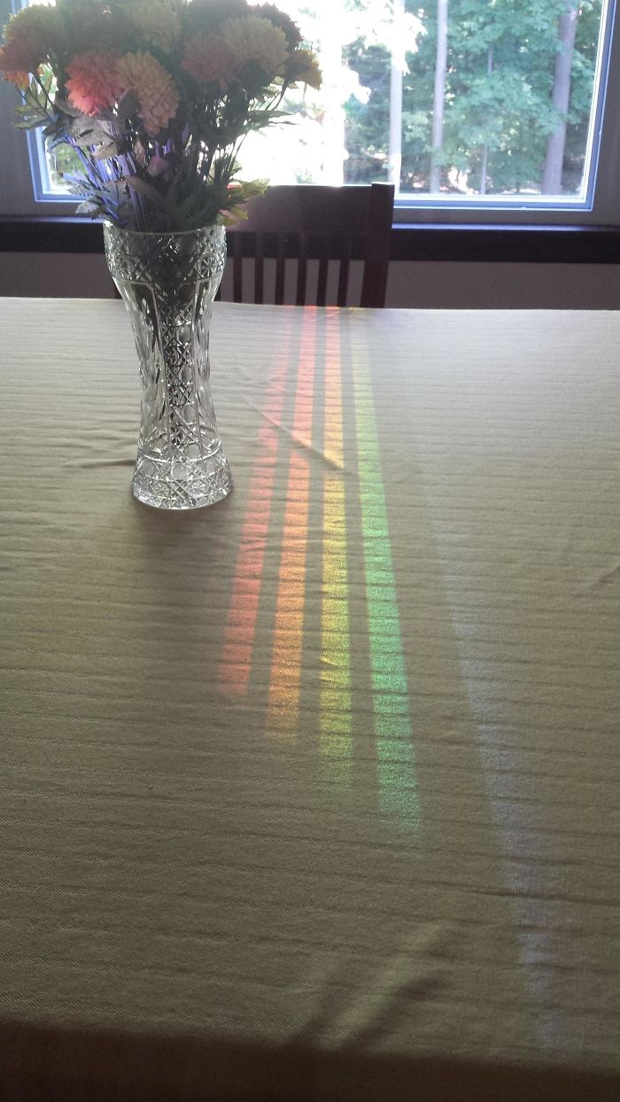 This Spectrum Reflected Off The Dining Room Window Through A Chair Back