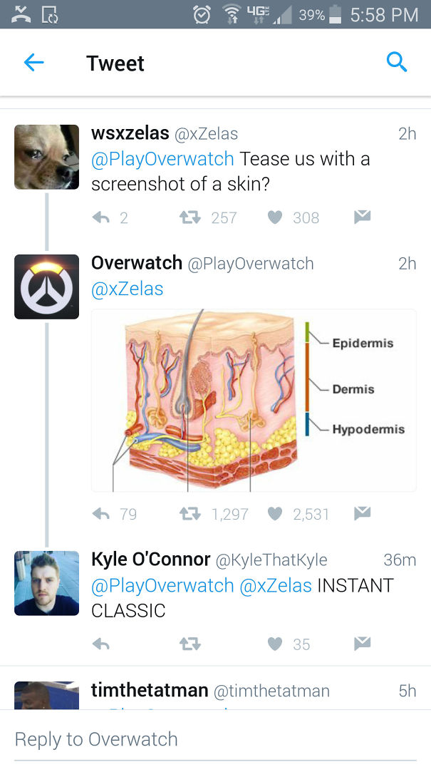 Whoever Runs The Overwatch Twitter Account Knows How It's Done