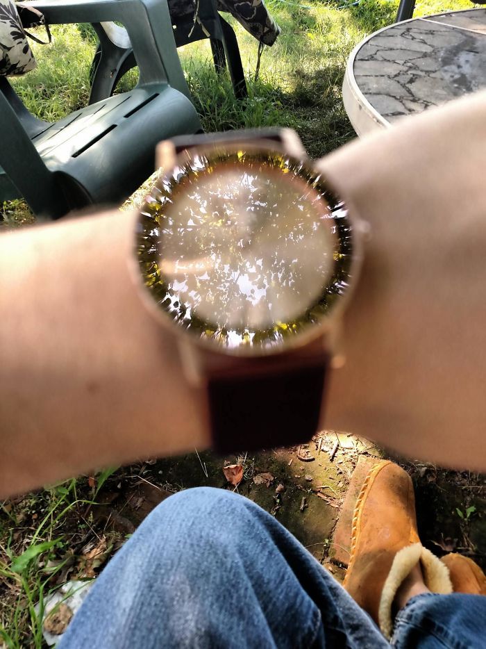The Camera Focused On The Reflection Of The Tree Instead Of The Watch