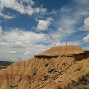 gyvunudraugas avatar