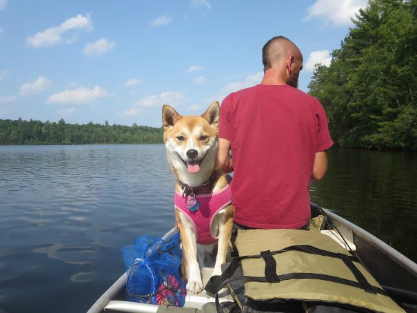 Took My Dog Canoeing For The First Time. I Think She Liked It