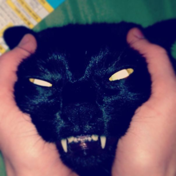 Mon chat démon