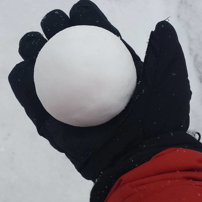 My Dad Made A Good Snowball I Guess, He's Really Proud, He Even Made This Photo His Profile Picture..