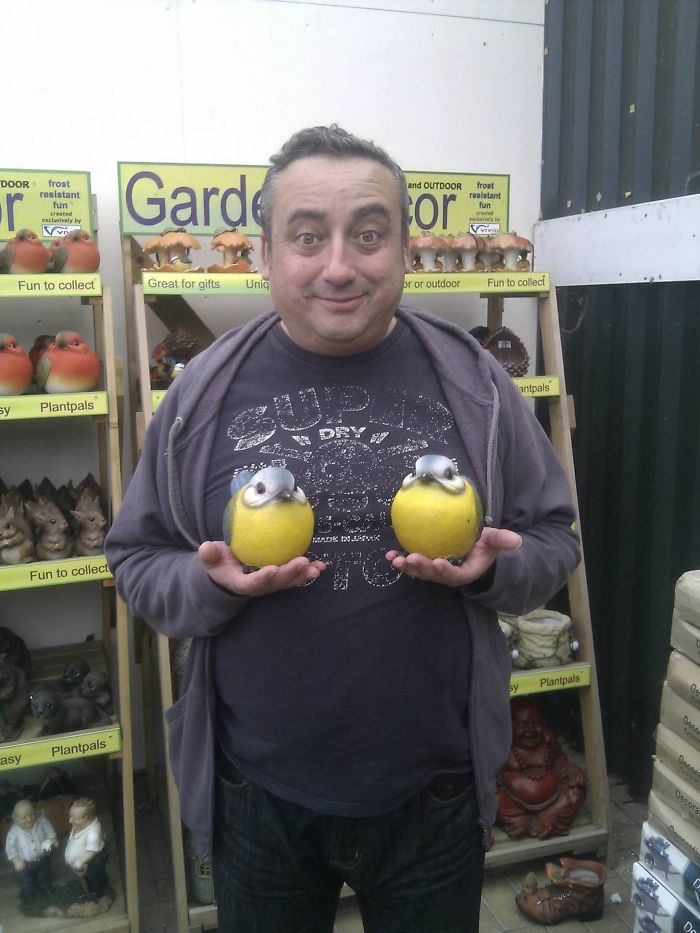 My Dad Ran Up To Me In The Garden Centre Yesterday And Asked Me To Take A Photo Of His 'Massive Tits'….