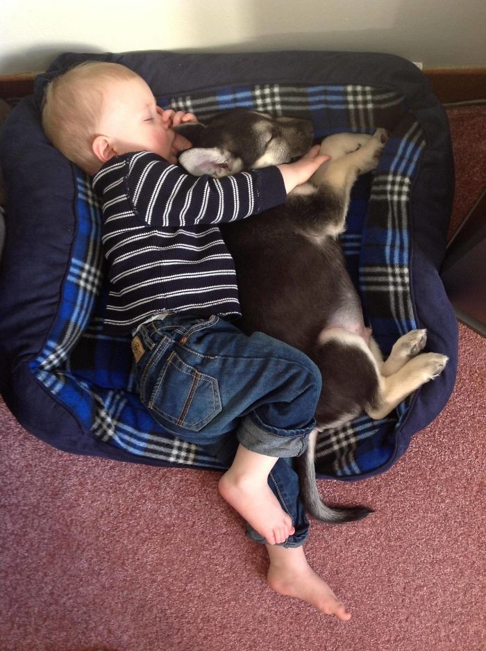 My Son And His Puppy, Friends For Life