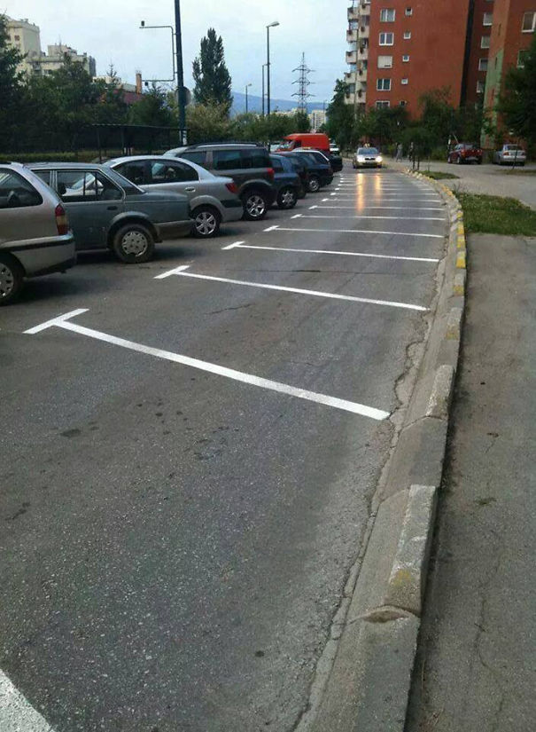 In My Country, They Don't Give A Duck About Your Parking Space