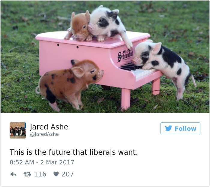Liberal Future Meme