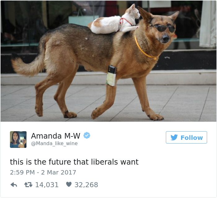 Liberal Future Meme