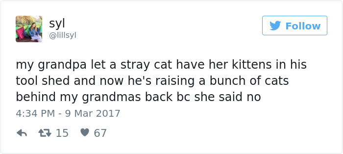 Grandpa Secretly Raises Stray Kittens After Wife Told He Couldn't Keep Them