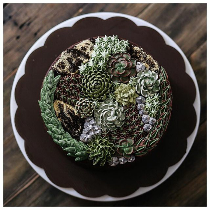 Succulent Cakes