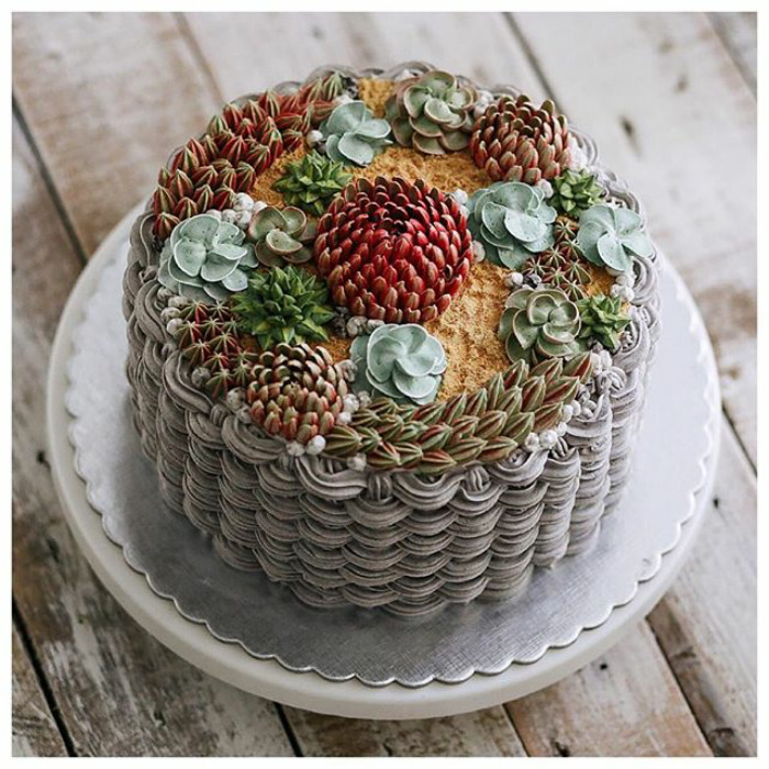 Succulent Cakes