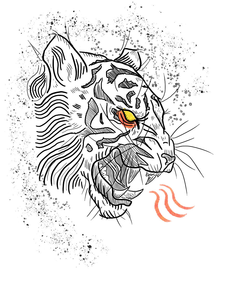 Big Cats Re-Imagined (illustration)
