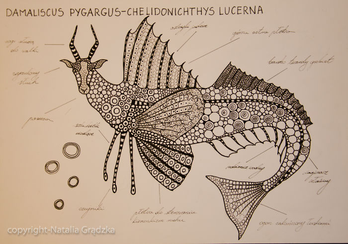 I Drew Animal Hybrids That Could Never Appear In Nature