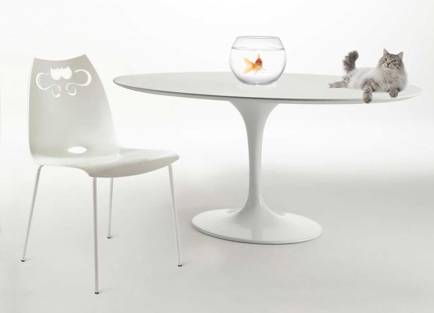 Designer, Maurizio Di Marzio Talking About “ddplus Design & Pet” And The Philosophy Behind This New Italian Brand. Designer, Maurizio Di Marzio Talking About “ddplus Design & Pet” And The Philosophy Behind This New Italian Brand.