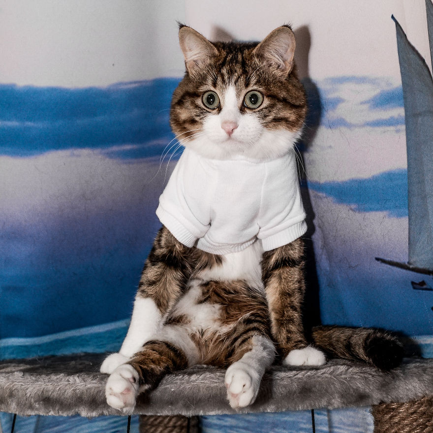 Fours Dresses Your Pets Like Snoop Dogg