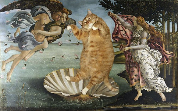 Sandro Botticelli, The Birth Of Cat