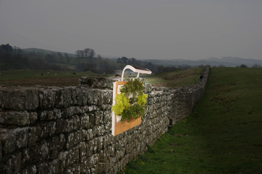 Make Vegetables, Not Walls, With Herbert