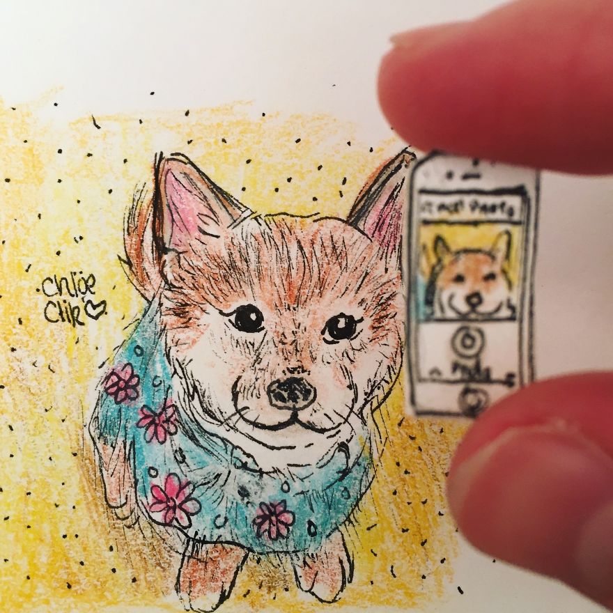 I Create Miniature Pet Portraits