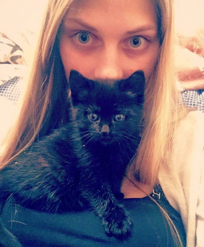 A Girl From Latvia Rescued More Than 350 Homeless Cats During Last 2 Years