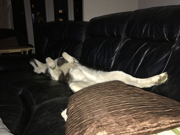 Melting On The Couch