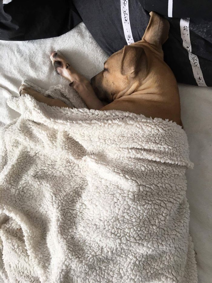 She Loves Her Blanket