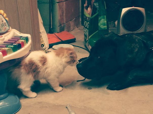 First Time Meeting Each Other