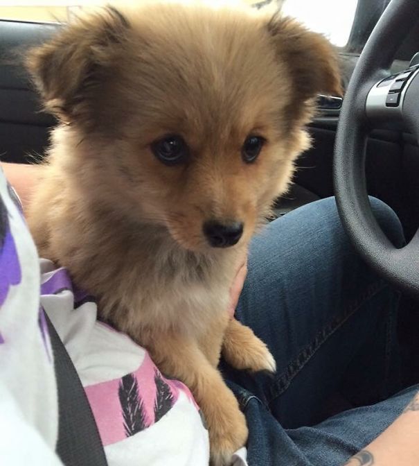 First Car Ride To Her New Home.