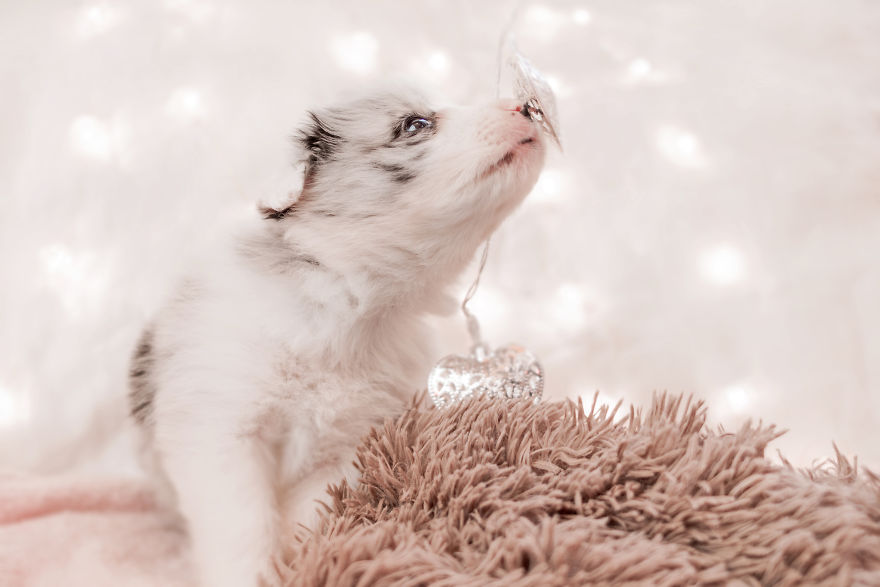 I Took Some Photos Or Adorable Babies With Little Paws
