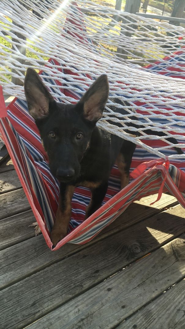 Irie Couldn't Figure Out The Hammock...