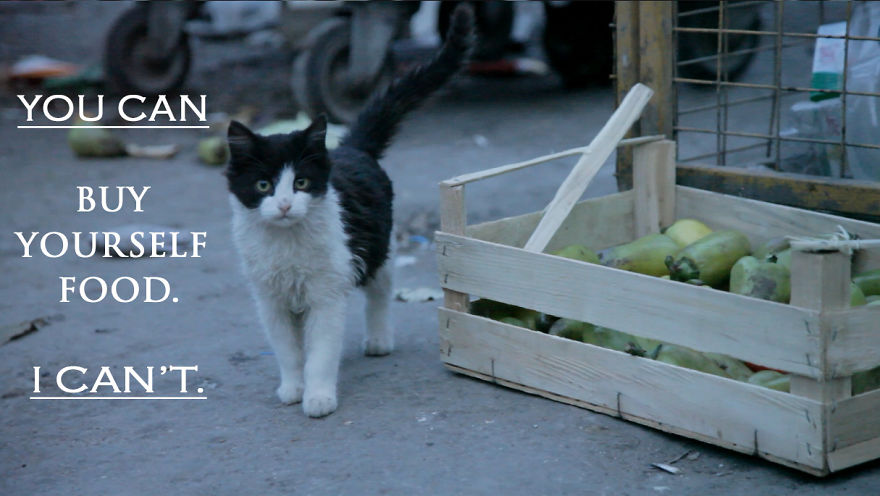 If You Don't Help Them, Who Will? If You Don't Help Them, Who Will?