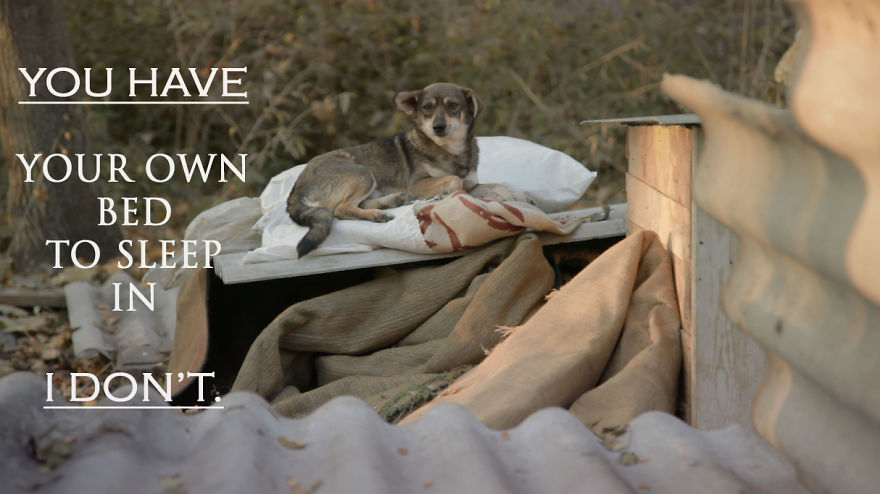 If You Don't Help Them, Who Will? If You Don't Help Them, Who Will?