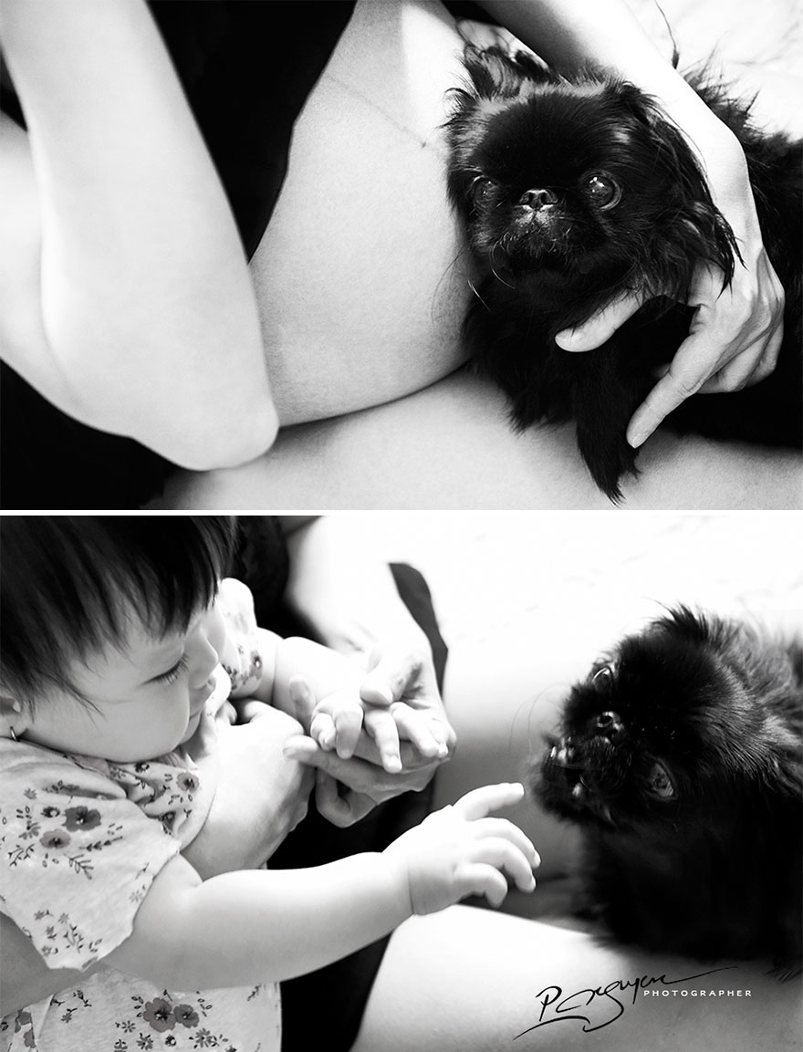 While Pregnant, My Wife Let The Pets And Baby Interact With Each Other, In Order To Teach Her About The Love