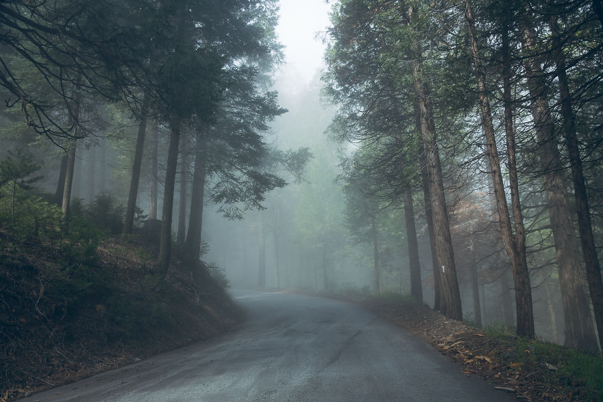 I Drive Around To Find And Photograph Dreamy Foggy Scenes