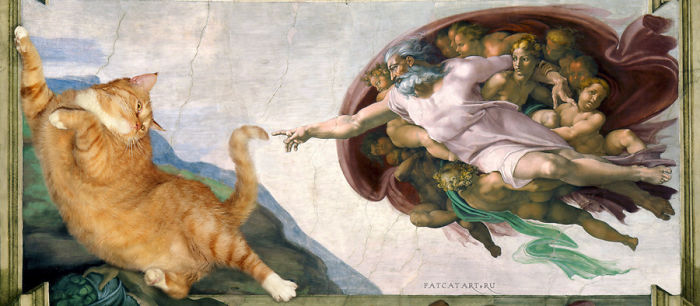 Michelangelo, Creation Of Cat-dam