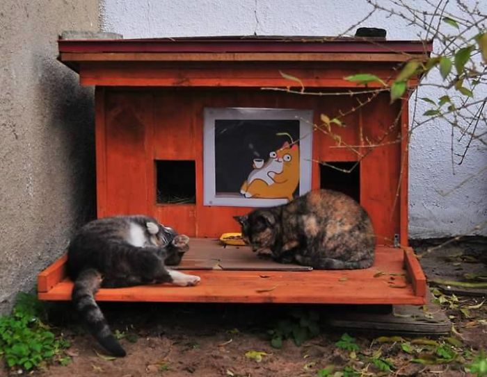We Built Tiny Houses For Homeless Cats In Riga To Help Them Survive Winter