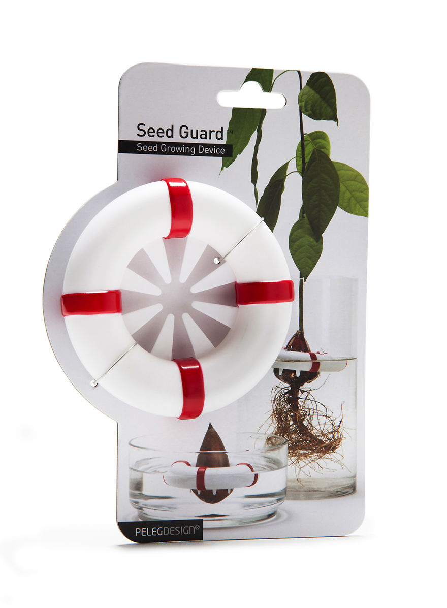 Your Avocado Seed Will Grow Safely Into A Beautiful Tree With Our New Product!