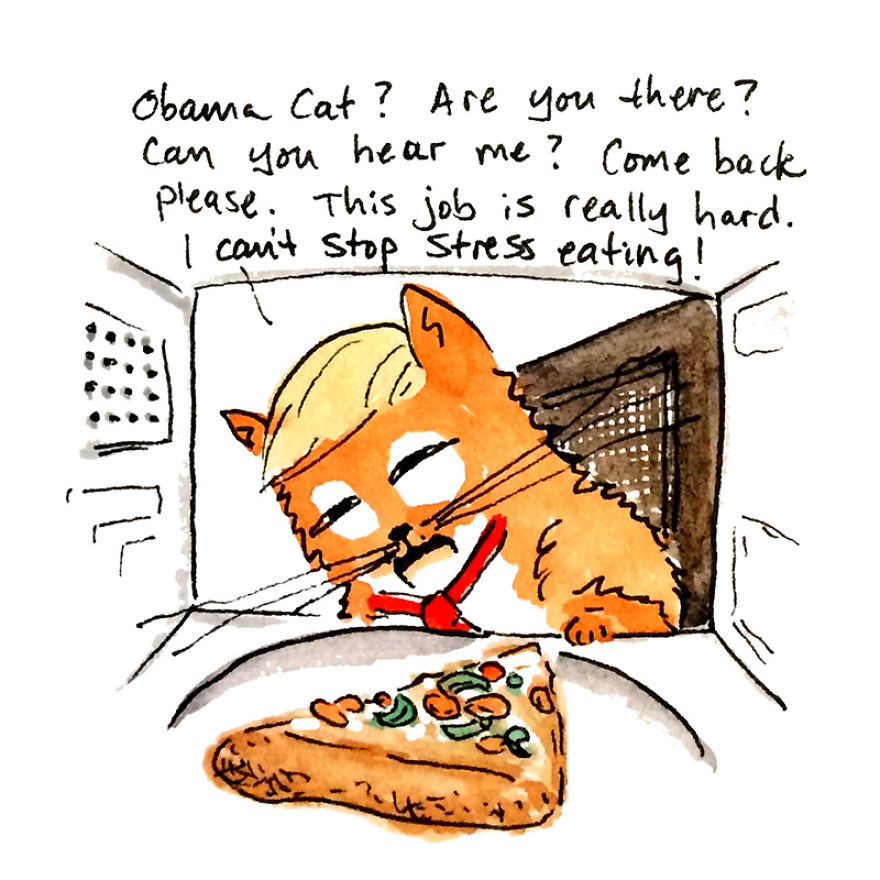 The Adventures Of President Trumpy Cat